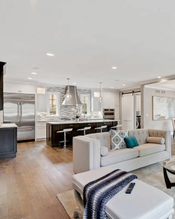 Saviour Vridhi aboutus