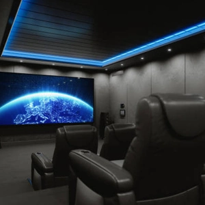 Saviour Vridhi amenities home theater